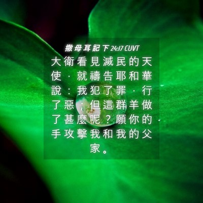 Picture 04 - 撒 母 耳 記 下 24:17 CUVT - 大 衛 看 見 滅 民 的 天 使 ， 就 禱 - Bible Verse Picture