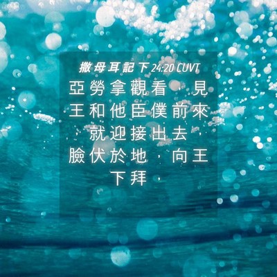 Picture 04 - 撒 母 耳 記 下 24:20 CUVT - 亞 勞 拿 觀 看 ， 見 王 和 他 臣 僕 - Bible Verse Picture