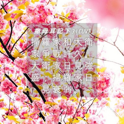Picture 04 - 撒 母 耳 記 下 3:1 CUVT - 掃 羅 家 和 大 衛 家 爭 戰 許 久 。 - Bible Verse Picture