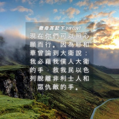 Picture 04 - 撒 母 耳 記 下 3:18 CUVT - 現 在 你 們 可 以 照 心 願 而 行 。 - Bible Verse Picture