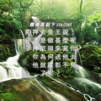 Picture 04 - 撒 母 耳 記 下 3:24 CUVT - 約 押 去 見 王 說 ： 你 這 是 做 甚 - Bible Verse Picture