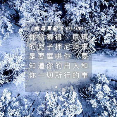 Picture 04 - 撒 母 耳 記 下 3:25 CUVT - 你 當 曉 得 ， 尼 珥 的 兒 子 押 尼 - Bible Verse Picture