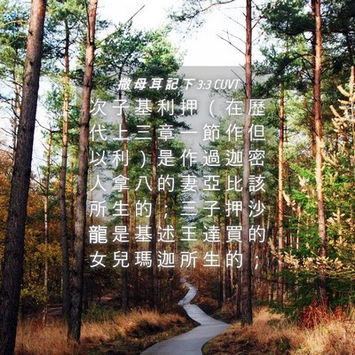 Picture 04 - 撒 母 耳 記 下 3:3 CUVT - 次 子 基 利 押 （ 在 歷 代 上 三 章 - Bible Verse Picture