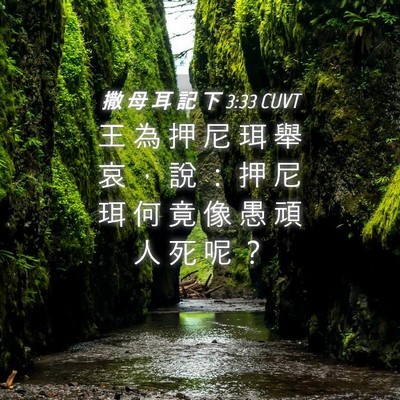 Picture 04 - 撒 母 耳 記 下 3:33 CUVT - 王 為 押 尼 珥 舉 哀 ， 說 ： 押 尼 - Bible Verse Picture