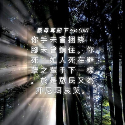 Picture 04 - 撒 母 耳 記 下 3:34 CUVT - 你 手 未 曾 捆 綁 ， 腳 未 曾 鎖 住 - Bible Verse Picture