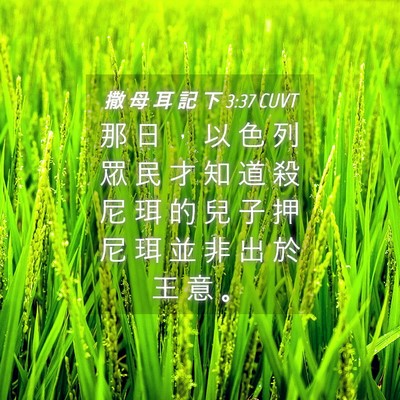 Picture 04 - 撒 母 耳 記 下 3:37 CUVT - 那 日 ， 以 色 列 眾 民 才 知 道 殺 - Bible Verse Picture