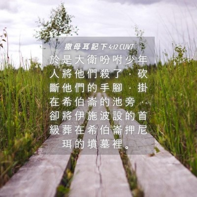 Picture 04 - 撒 母 耳 記 下 4:12 CUVT - 於 是 大 衛 吩 咐 少 年 人 將 他 們 - Bible Verse Picture