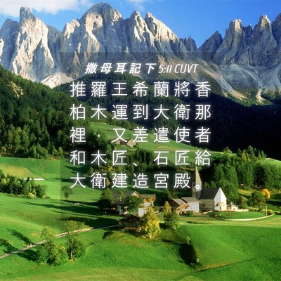 Picture 04 - 撒 母 耳 記 下 5:11 CUVT - 推 羅 王 希 蘭 將 香 柏 木 運 到 大 - Bible Verse Picture