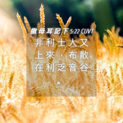 Picture 04 - 撒 母 耳 記 下 5:22 CUVT - 非 利 士 人 又 上 來 ， 布 散 在 利 - Bible Verse Picture