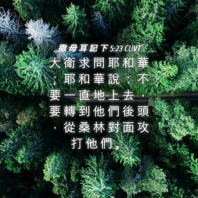 Picture 04 - 撒 母 耳 記 下 5:23 CUVT - 大 衛 求 問 耶 和 華 ； 耶 和 華 說 - Bible Verse Picture
