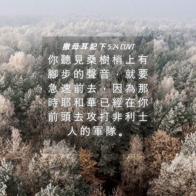 Picture 04 - 撒 母 耳 記 下 5:24 CUVT - 你 聽 見 桑 樹 梢 上 有 腳 步 的 聲 - Bible Verse Picture