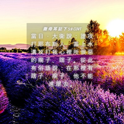 Picture 04 - 撒 母 耳 記 下 5:8 CUVT - 當 日 ， 大 衛 說 ： 誰 攻 打 耶 布 - Bible Verse Picture