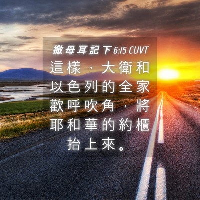 Picture 04 - 撒 母 耳 記 下 6:15 CUVT - 這 樣 ， 大 衛 和 以 色 列 的 全 家 - Bible Verse Picture