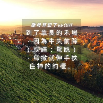 Picture 04 - 撒 母 耳 記 下 6:6 CUVT - 到 了 拿 艮 的 禾 場 ， 因 為 牛 失 - Bible Verse Picture