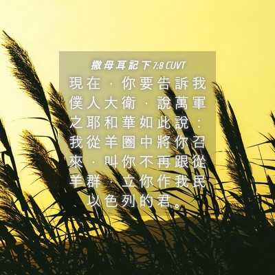 Picture 04 - 撒 母 耳 記 下 7:8 CUVT - 現 在 ， 你 要 告 訴 我 僕 人 大 衛 - Bible Verse Picture