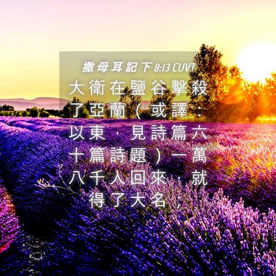 Picture 04 - 撒 母 耳 記 下 8:13 CUVT - 大 衛 在 鹽 谷 擊 殺 了 亞 蘭 （ 或 - Bible Verse Picture
