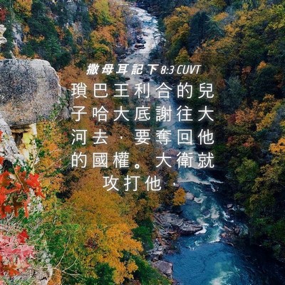Picture 04 - 撒 母 耳 記 下 8:3 CUVT - 瑣 巴 王 利 合 的 兒 子 哈 大 底 謝 - Bible Verse Picture