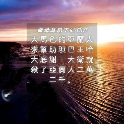 Picture 04 - 撒 母 耳 記 下 8:5 CUVT - 大 馬 色 的 亞 蘭 人 來 幫 助 瑣 巴 - Bible Verse Picture