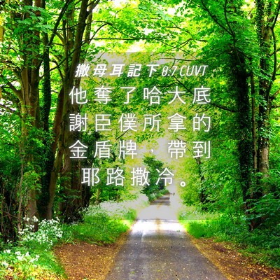 Picture 04 - 撒 母 耳 記 下 8:7 CUVT - 他 奪 了 哈 大 底 謝 臣 僕 所 拿 的 - Bible Verse Picture