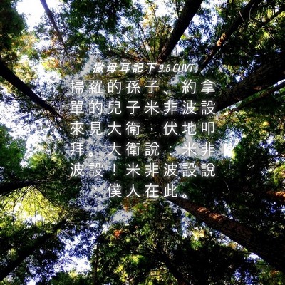 Picture 04 - 撒 母 耳 記 下 9:6 CUVT - 掃 羅 的 孫 子 、 約 拿 單 的 兒 子 - Bible Verse Picture