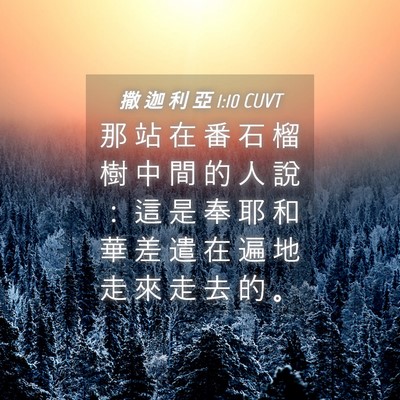 Picture 04 - 撒 迦 利 亞 1:10 CUVT - 那 站 在 番 石 榴 樹 中 間 的 人 說 - Bible Verse Picture