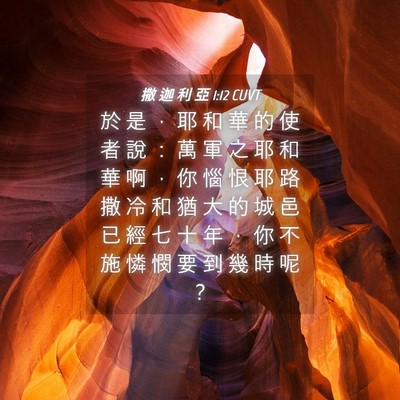 Picture 04 - 撒 迦 利 亞 1:12 CUVT - 於 是 ， 耶 和 華 的 使 者 說 ： 萬 - Bible Verse Picture