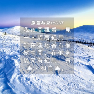 Picture 04 - 撒 迦 利 亞 1:8 CUVT - 我 夜 間 觀 看 ， 見 一 人 騎 著 紅 - Bible Verse Picture