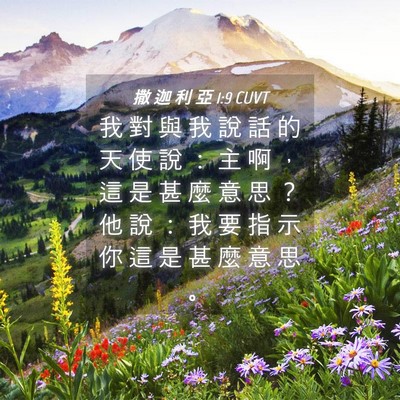 Picture 04 - 撒 迦 利 亞 1:9 CUVT - 我 對 與 我 說 話 的 天 使 說 ： 主 - Bible Verse Picture