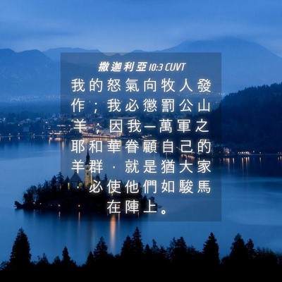 Picture 04 - 撒 迦 利 亞 10:3 CUVT - 我 的 怒 氣 向 牧 人 發 作 ； 我 必 - Bible Verse Picture