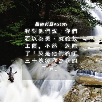 Picture 04 - 撒 迦 利 亞 11:12 CUVT - 我 對 他 們 說 ： 你 們 若 以 為 美 - Bible Verse Picture