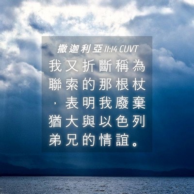 Picture 04 - 撒 迦 利 亞 11:14 CUVT - 我 又 折 斷 稱 為 聯 索 的 那 根 杖 - Bible Verse Picture