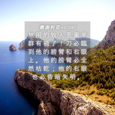 Picture 04 - 撒 迦 利 亞 11:17 CUVT - 無 用 的 牧 人 丟 棄 羊 群 有 禍 了 - Bible Verse Picture