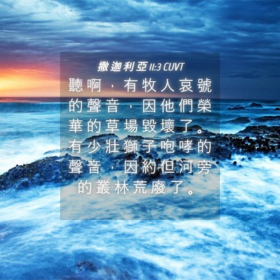 Picture 04 - 撒 迦 利 亞 11:3 CUVT - 聽 啊 ， 有 牧 人 哀 號 的 聲 音 ， - Bible Verse Picture