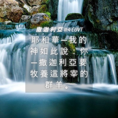 Picture 04 - 撒 迦 利 亞 11:4 CUVT - 耶 和 華 ─ 我 的 神 如 此 說 ： 你 - Bible Verse Picture