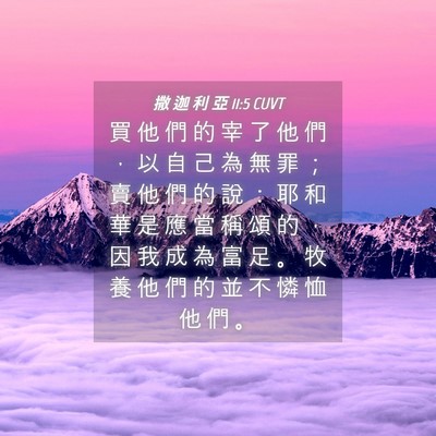 Picture 04 - 撒 迦 利 亞 11:5 CUVT - 買 他 們 的 宰 了 他 們 ， 以 自 己 - Bible Verse Picture
