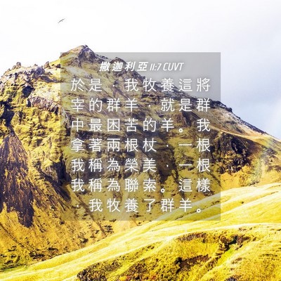 Picture 04 - 撒 迦 利 亞 11:7 CUVT - 於 是 ， 我 牧 養 這 將 宰 的 群 羊 - Bible Verse Picture