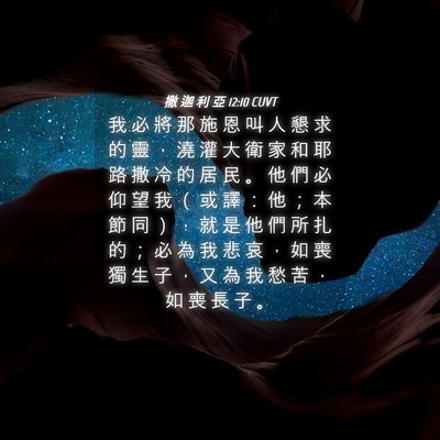 Picture 04 - 撒 迦 利 亞 12:10 CUVT - 我 必 將 那 施 恩 叫 人 懇 求 的 靈 - Bible Verse Picture