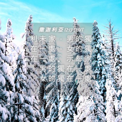 Picture 04 - 撒 迦 利 亞 12:13 CUVT - 利 未 家 ， 男 的 獨 在 一 處 ， 女 - Bible Verse Picture