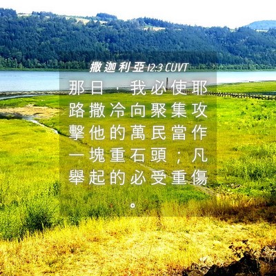Picture 04 - 撒 迦 利 亞 12:3 CUVT - 那 日 ， 我 必 使 耶 路 撒 冷 向 聚 - Bible Verse Picture