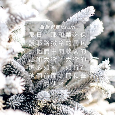 Picture 04 - 撒 迦 利 亞 12:8 CUVT - 那 日 ， 耶 和 華 必 保 護 耶 路 撒 - Bible Verse Picture