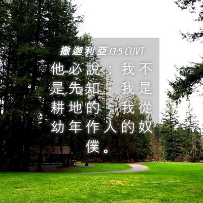 Picture 04 - 撒 迦 利 亞 13:5 CUVT - 他 必 說 ： 我 不 是 先 知 ， 我 是 - Bible Verse Picture