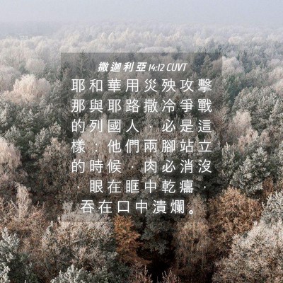 Picture 04 - 撒 迦 利 亞 14:12 CUVT - 耶 和 華 用 災 殃 攻 擊 那 與 耶 路 - Bible Verse Picture