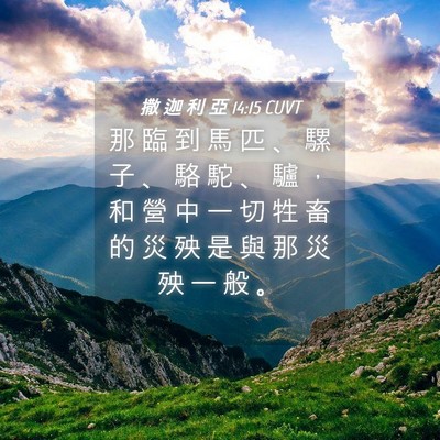 Picture 04 - 撒 迦 利 亞 14:15 CUVT - 那 臨 到 馬 匹 、 騾 子 、 駱 駝 、 - Bible Verse Picture