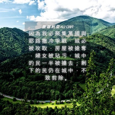 Picture 04 - 撒 迦 利 亞 14:2 CUVT - 因 為 我 必 聚 集 萬 國 與 耶 路 撒 - Bible Verse Picture