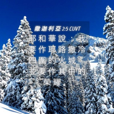 Picture 04 - 撒 迦 利 亞 2:5 CUVT - 耶 和 華 說 ： 我 要 作 耶 路 撒 冷 - Bible Verse Picture