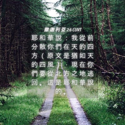 Picture 04 - 撒 迦 利 亞 2:6 CUVT - 耶 和 華 說 ： 我 從 前 分 散 你 們 - Bible Verse Picture