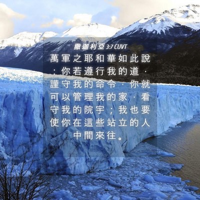 Picture 04 - 撒 迦 利 亞 3:7 CUVT - 萬 軍 之 耶 和 華 如 此 說 ： 你 若 - Bible Verse Picture