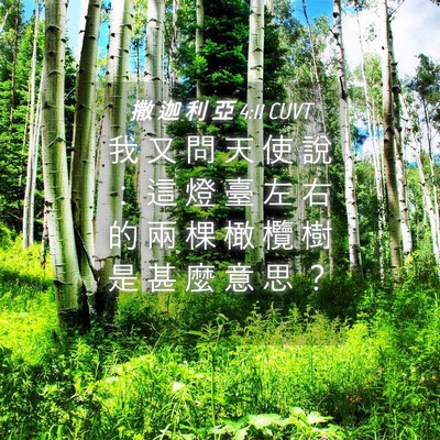 Picture 04 - 撒 迦 利 亞 4:11 CUVT - 我 又 問 天 使 說 ： 這 燈 臺 左 右 - Bible Verse Picture