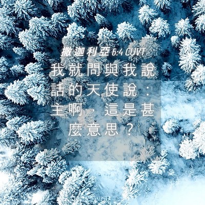 Picture 04 - 撒 迦 利 亞 6:4 CUVT - 我 就 問 與 我 說 話 的 天 使 說 ： - Bible Verse Picture