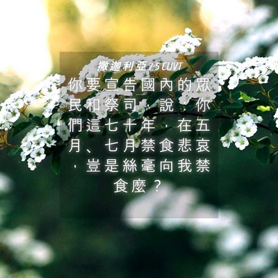 Picture 04 - 撒 迦 利 亞 7:5 CUVT - 你 要 宣 告 國 內 的 眾 民 和 祭 司 - Bible Verse Picture